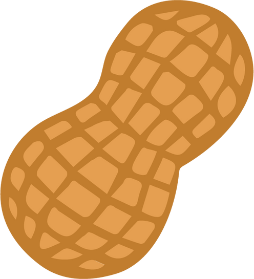 Peanut Illustration